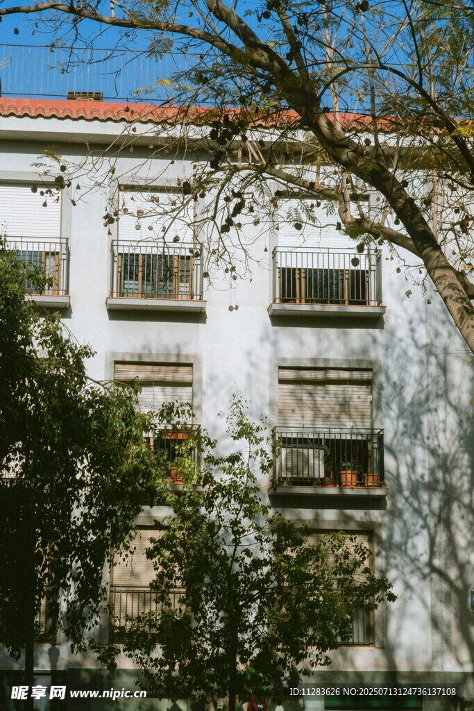 白色建筑旁的繁茂树木
