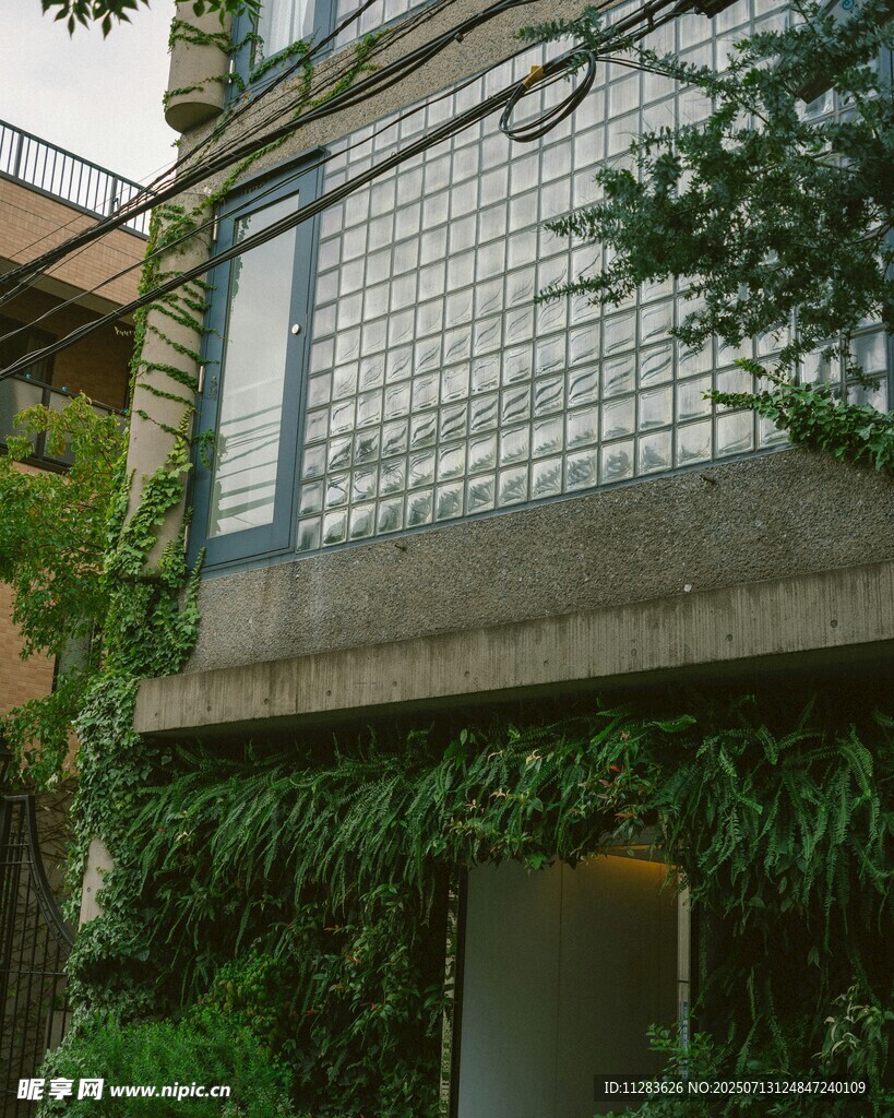 绿植环绕的现代建筑一角