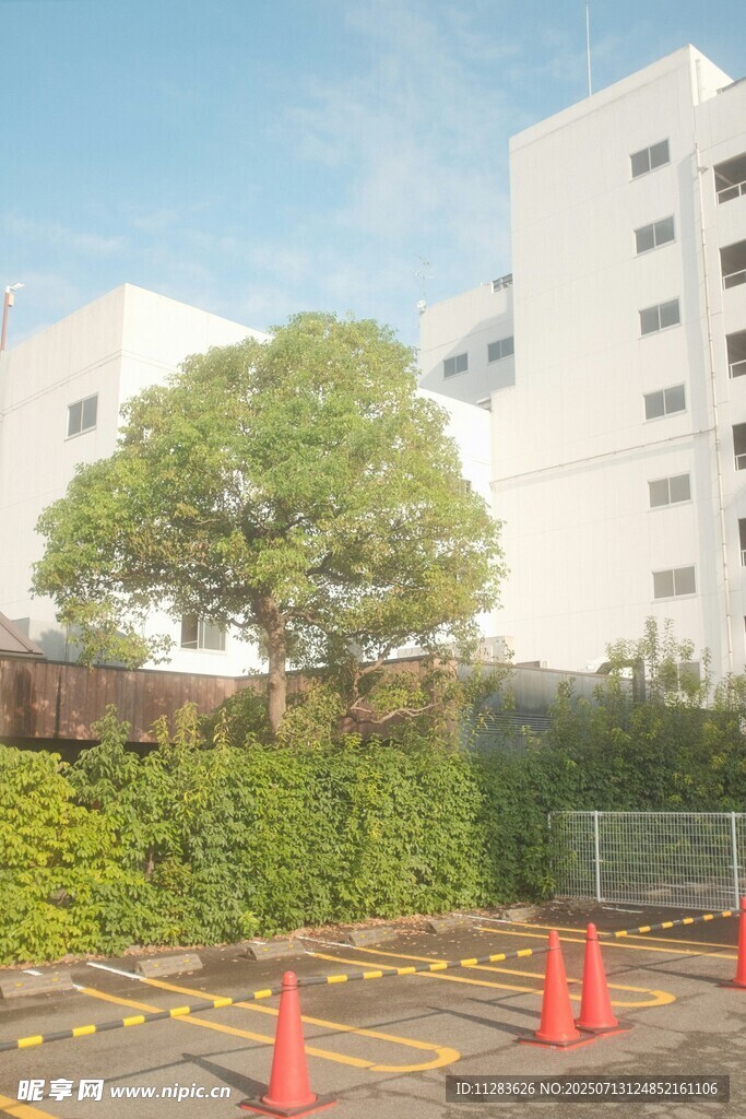 户外停车场景与绿植建筑