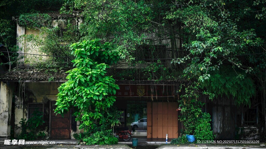绿植环绕的古朴建筑