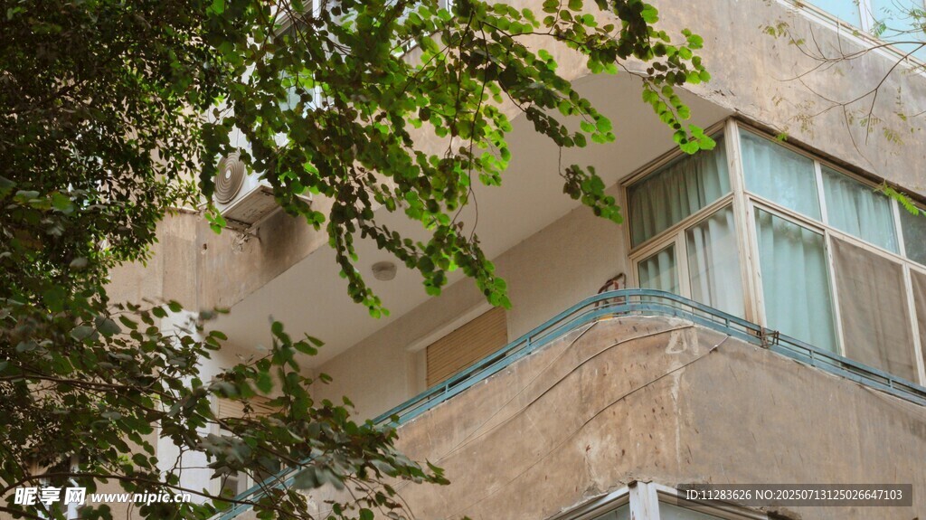 窗外绿植掩映的建筑一角