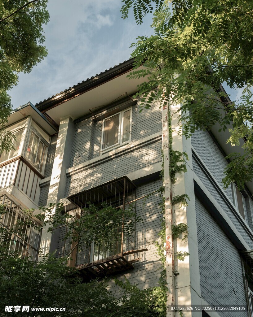 绿树环绕的多层住宅