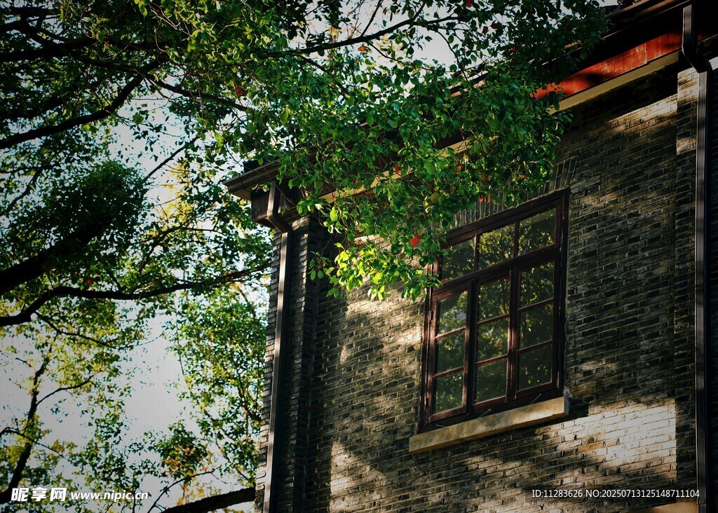 林间小屋