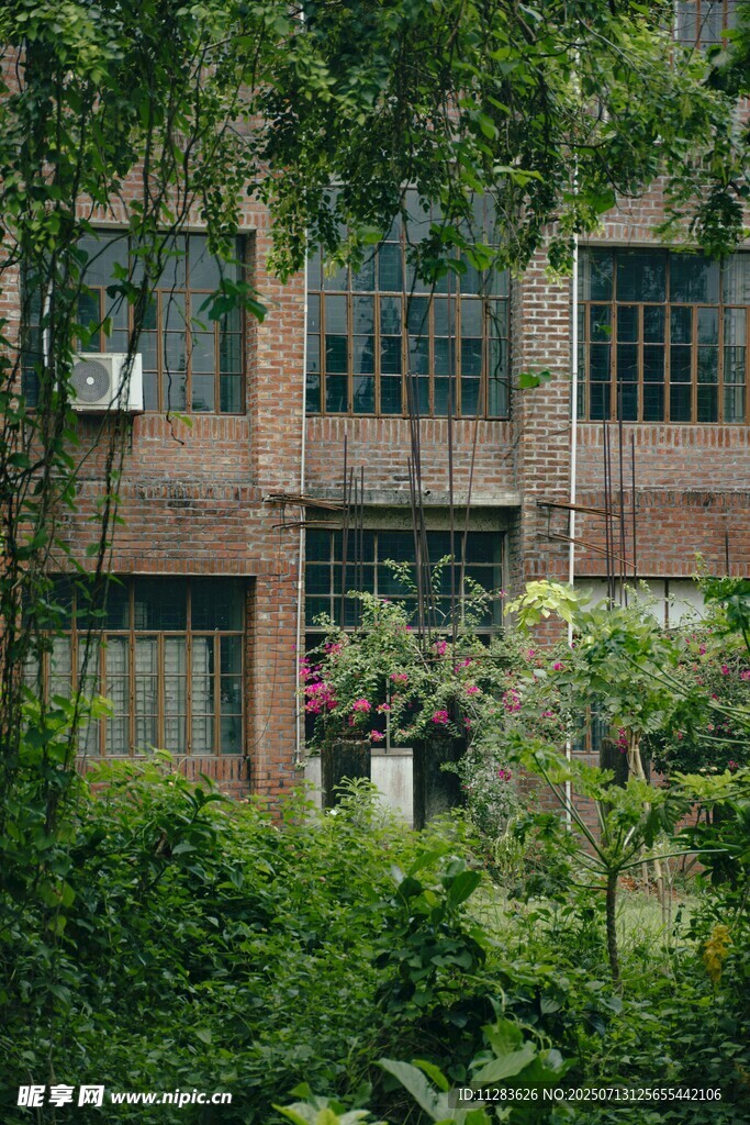 绿植环绕的老旧居民楼