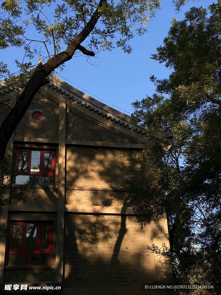 阳光下的林间小屋