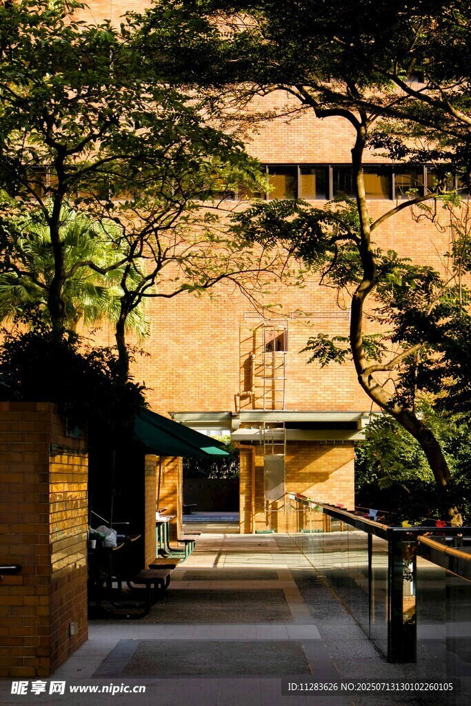 庭院中的建筑与绿植景观