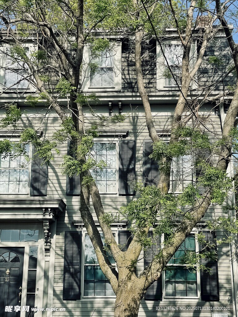 枝叶掩映下的古朴建筑