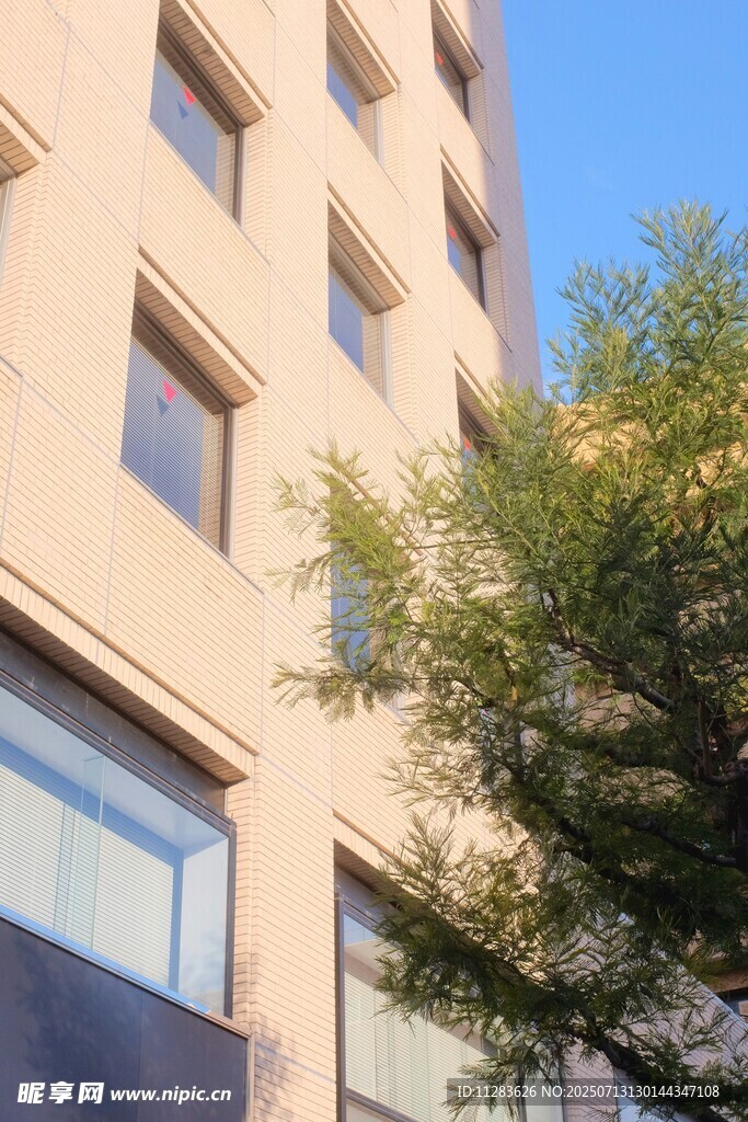 现代建筑旁的葱郁绿树