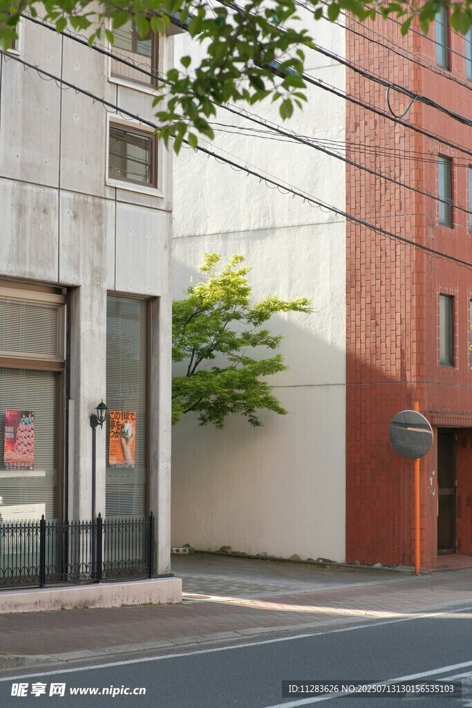 城市街角的建筑与绿植