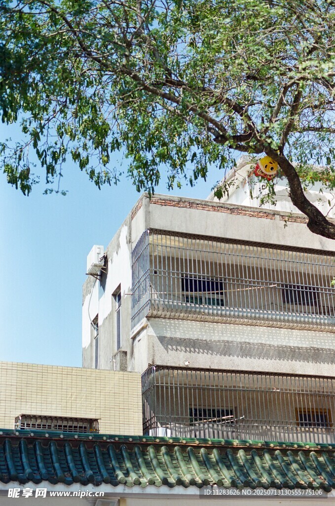 屋顶上的工人与绿树建筑