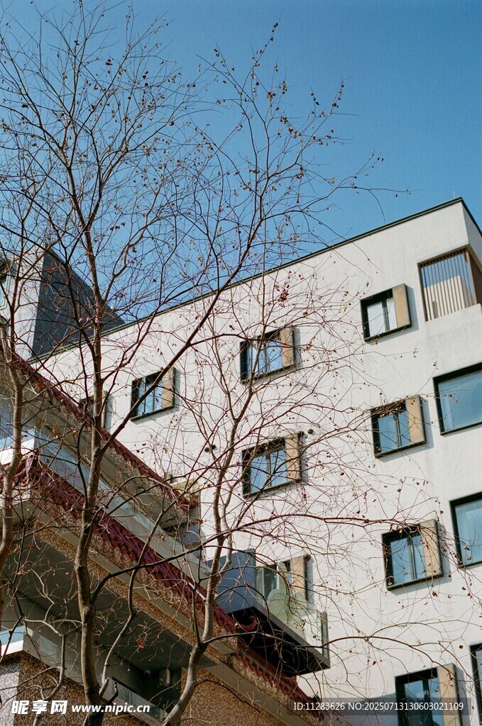城市中的多层白色建筑
