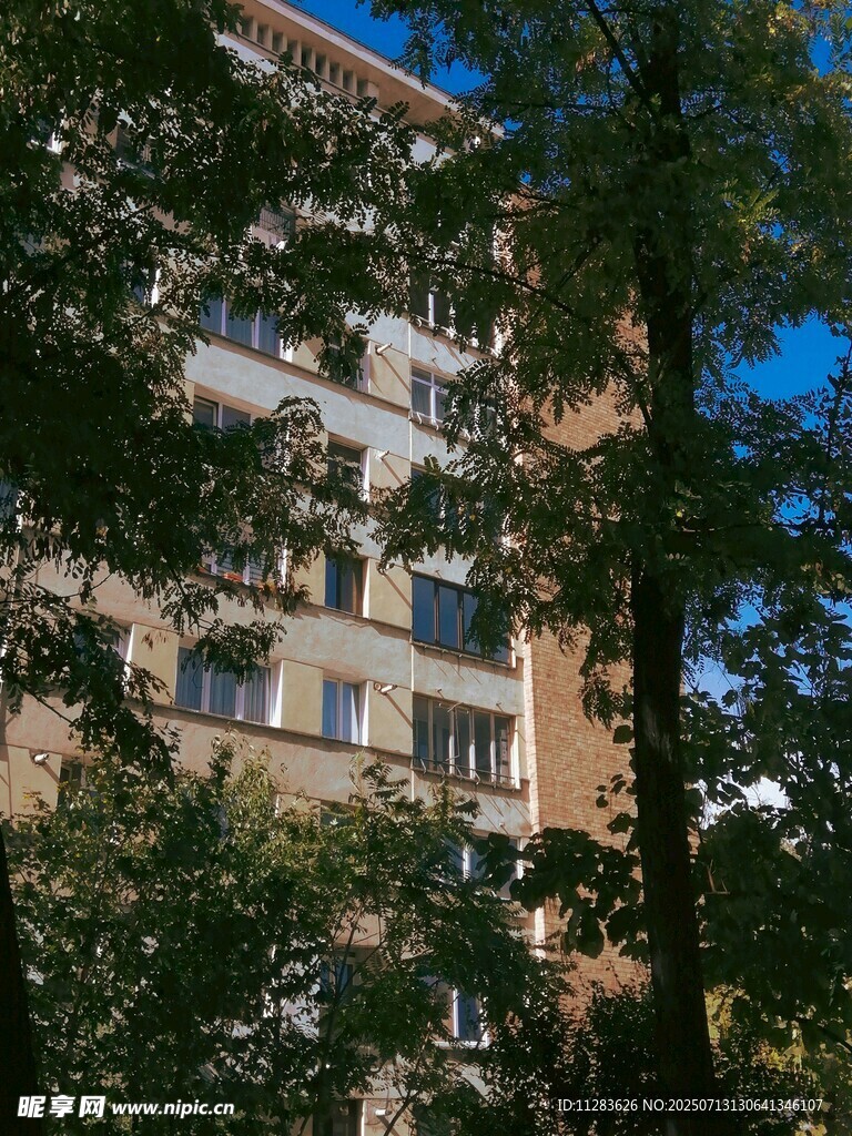 绿树环绕的多层居民楼