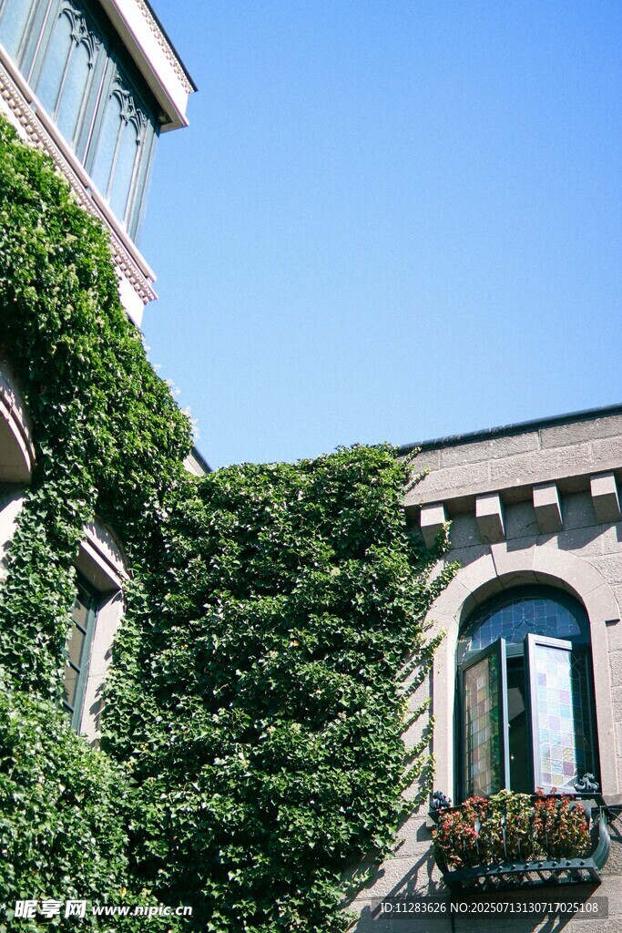 爬满绿植的欧式建筑一角