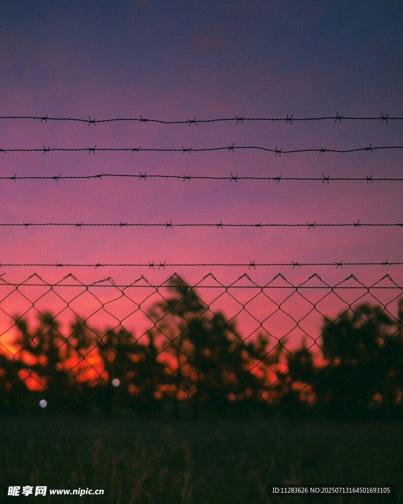 夕阳下的带刺铁丝网