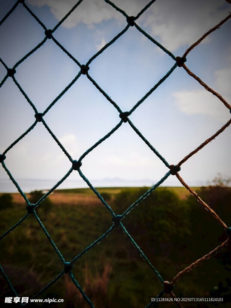 透过铁丝网看户外风景