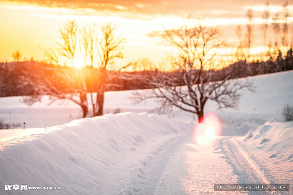 冬日雪野夕阳美景