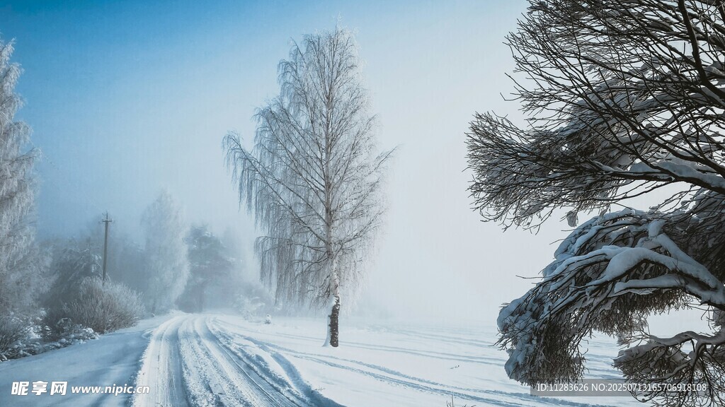 冬日雪路雪景静谧风光
