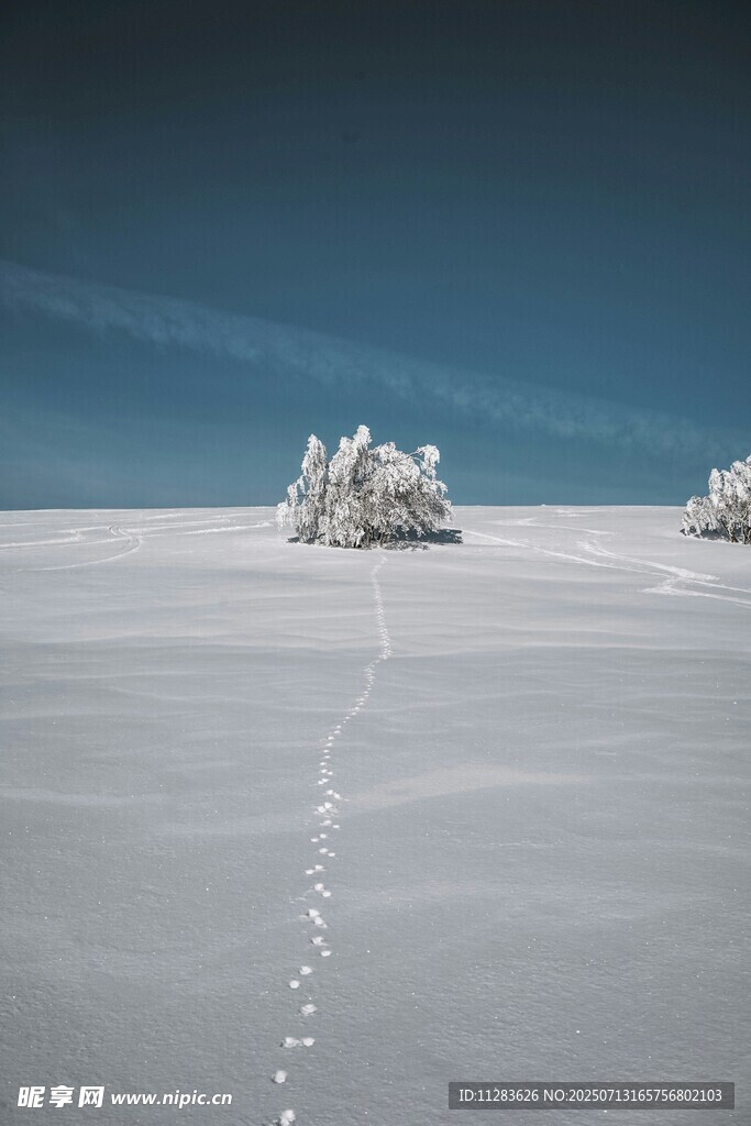 雪地孤景