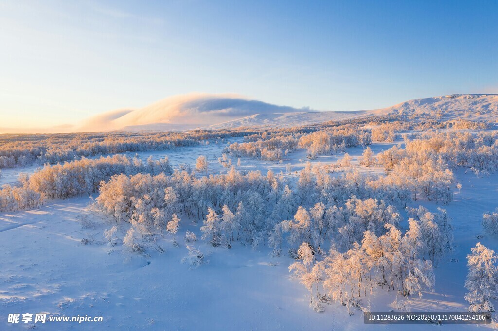 冬日雪野晨光美景