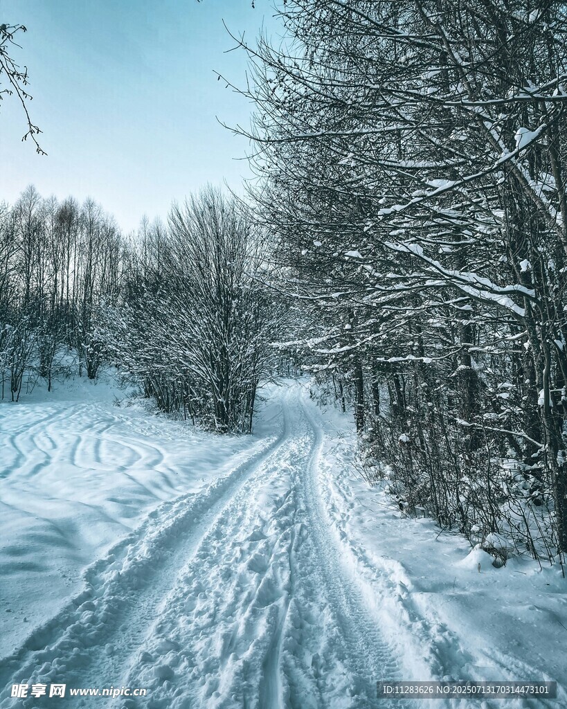 冬日雪林小路