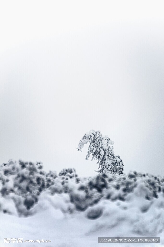 雪覆山林景