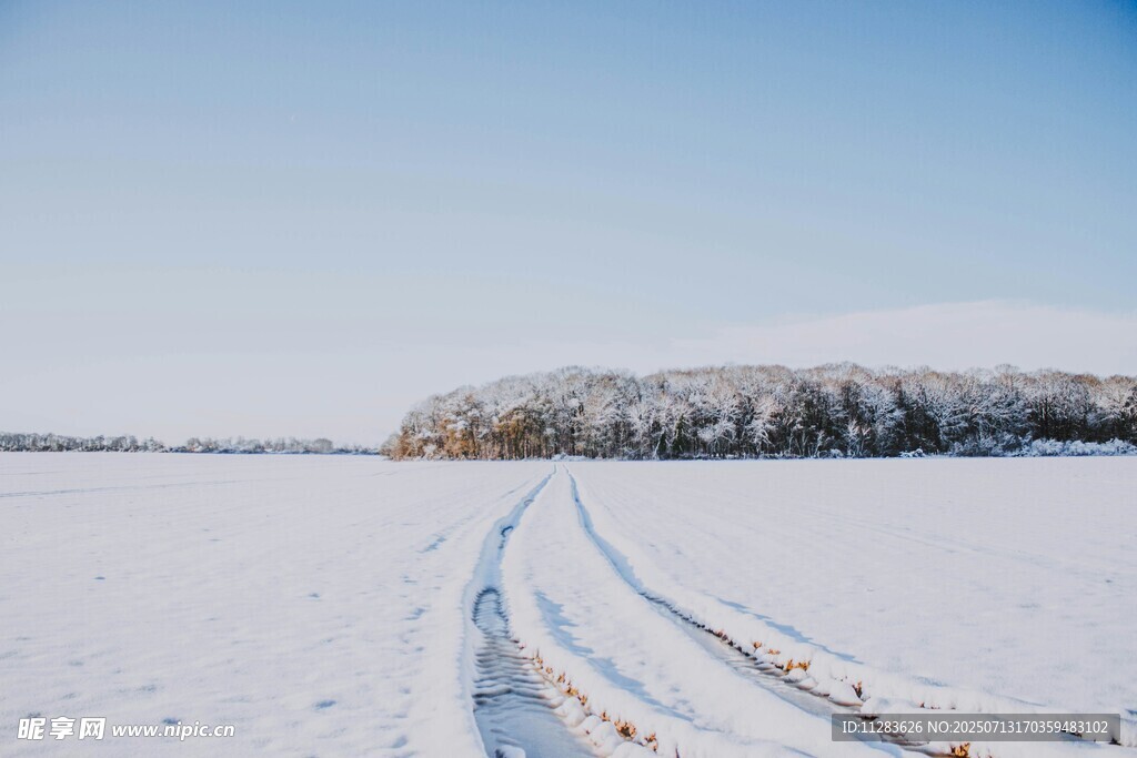 雪野中的车辙痕迹