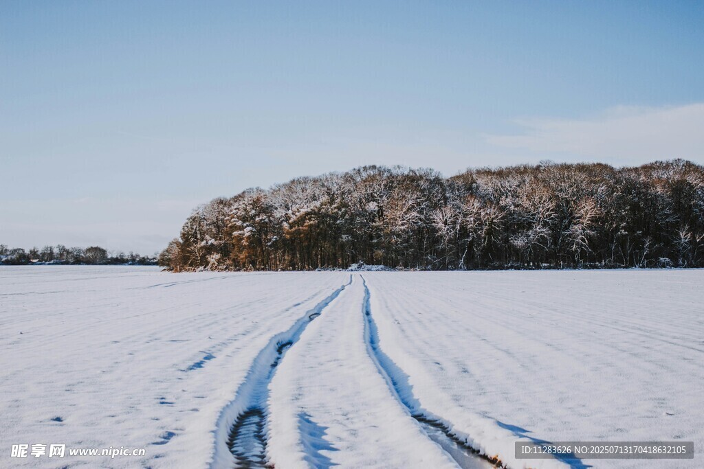 雪野中的车辙痕迹