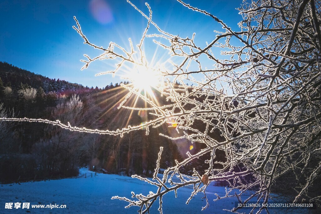 冬日暖阳下的冰雪美景