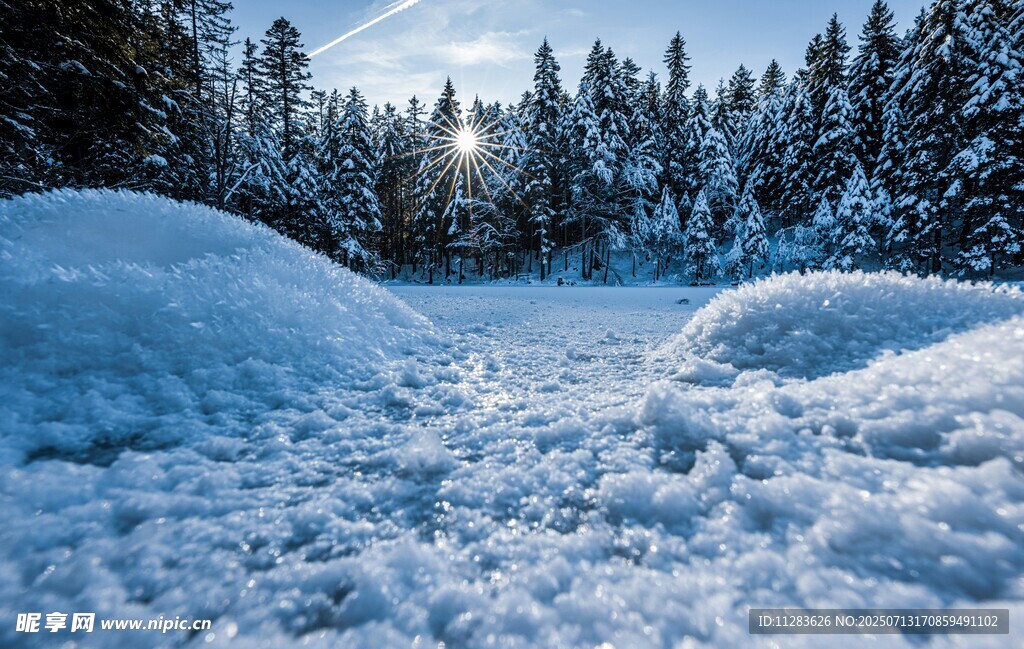 冬日雪林美景