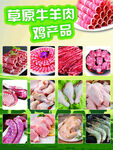 草原牛羊肉及鸡产品展示