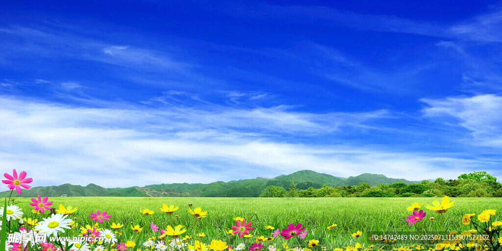 蓝天白云绿草地