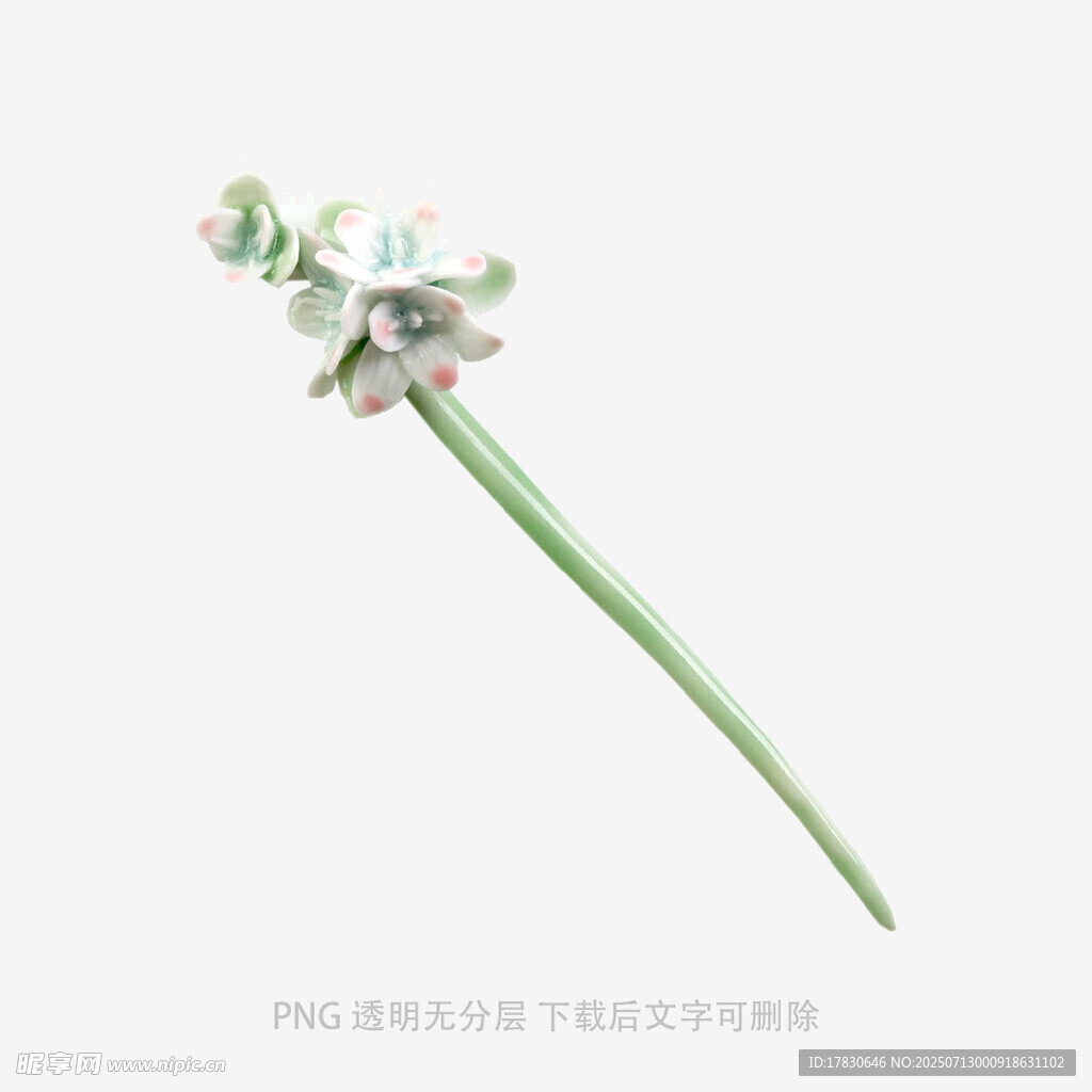 一枝清新多肉植物