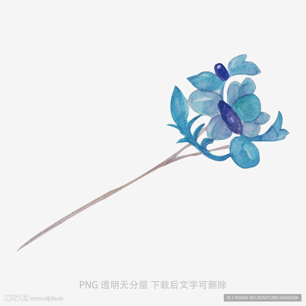 蓝色花朵插画