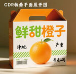 橙子箱子   包装 纸箱