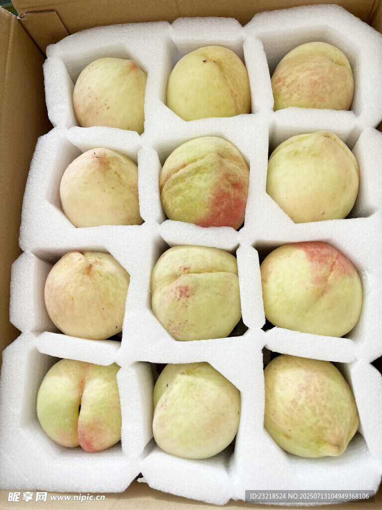 桃子