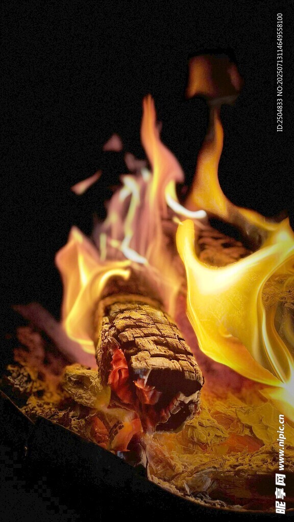 火焰中烤制的美味烤肉