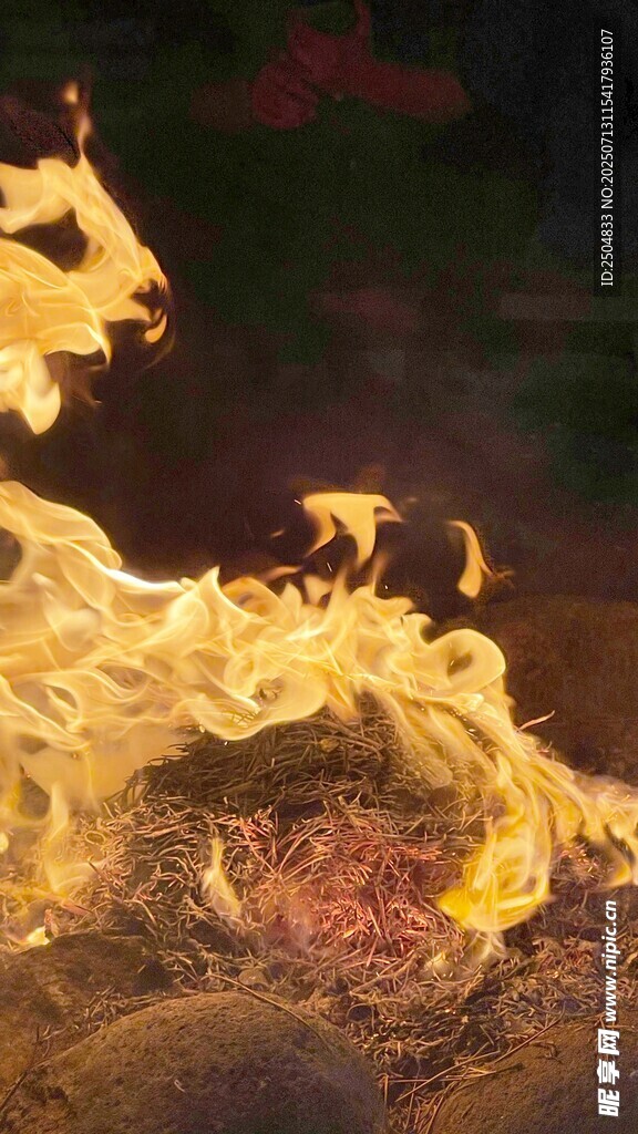 火焰中奔腾的奇幻动物