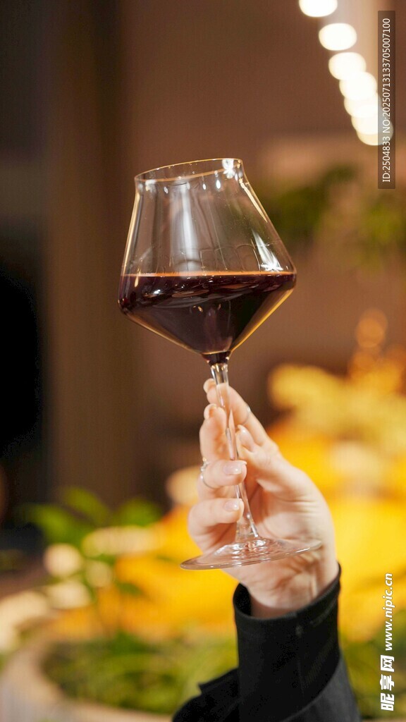 手持红酒杯 品味优雅时刻