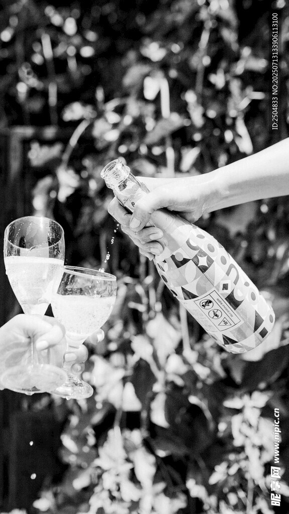 户外野餐中的美酒与美食