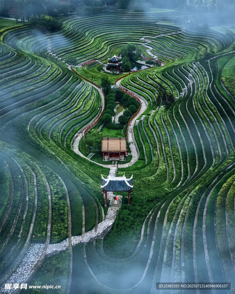 梯田