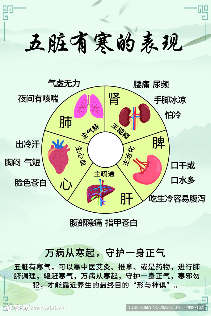 五脏养生