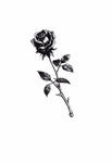 黑色玫瑰图案