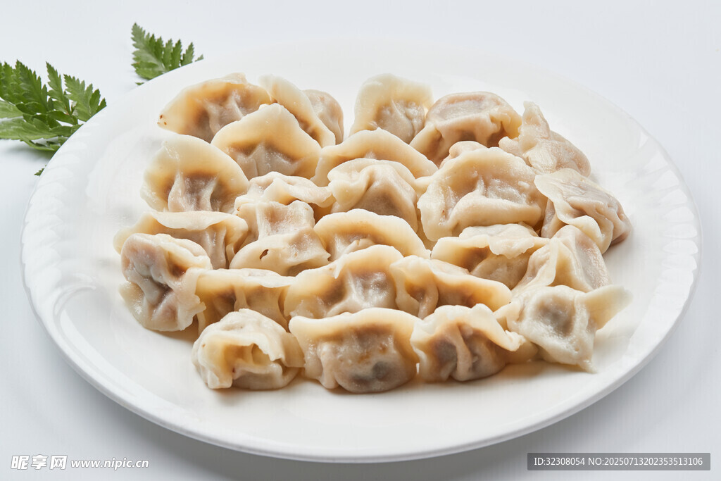 一盘美味饺子
