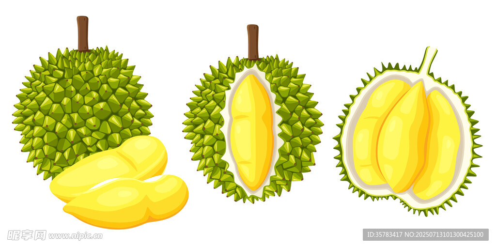 榴莲插图