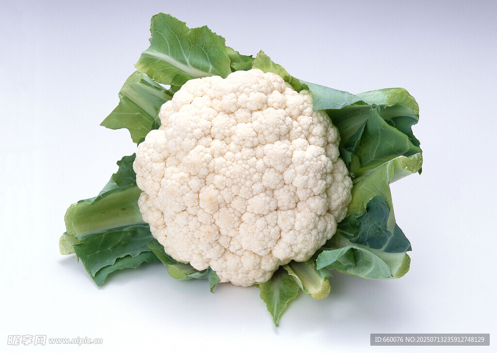 新鲜花椰菜 