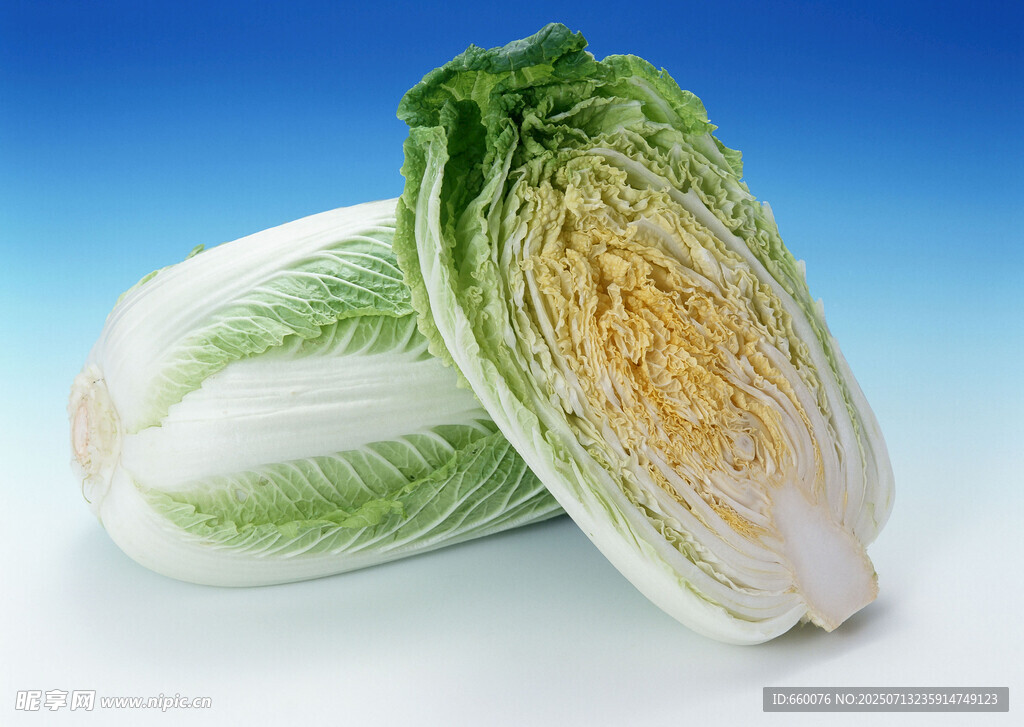 新鲜大白菜 翠绿又饱满