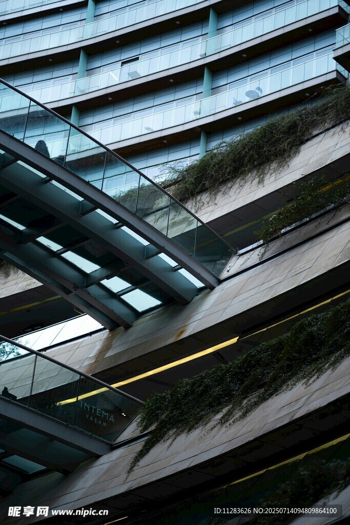 现代建筑的绿植装饰景观