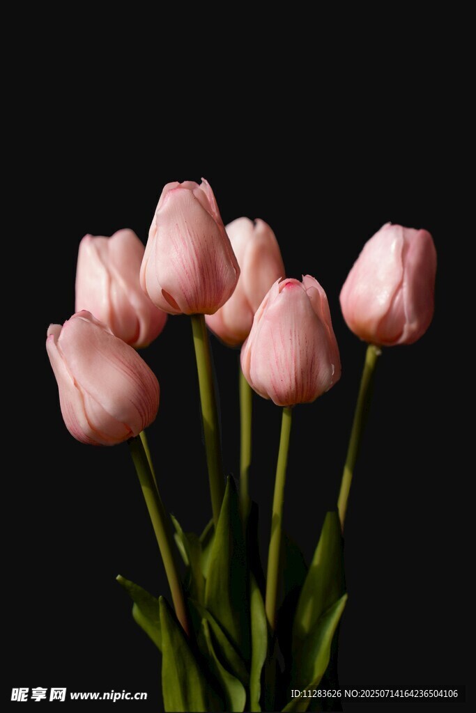 粉色郁金香花束