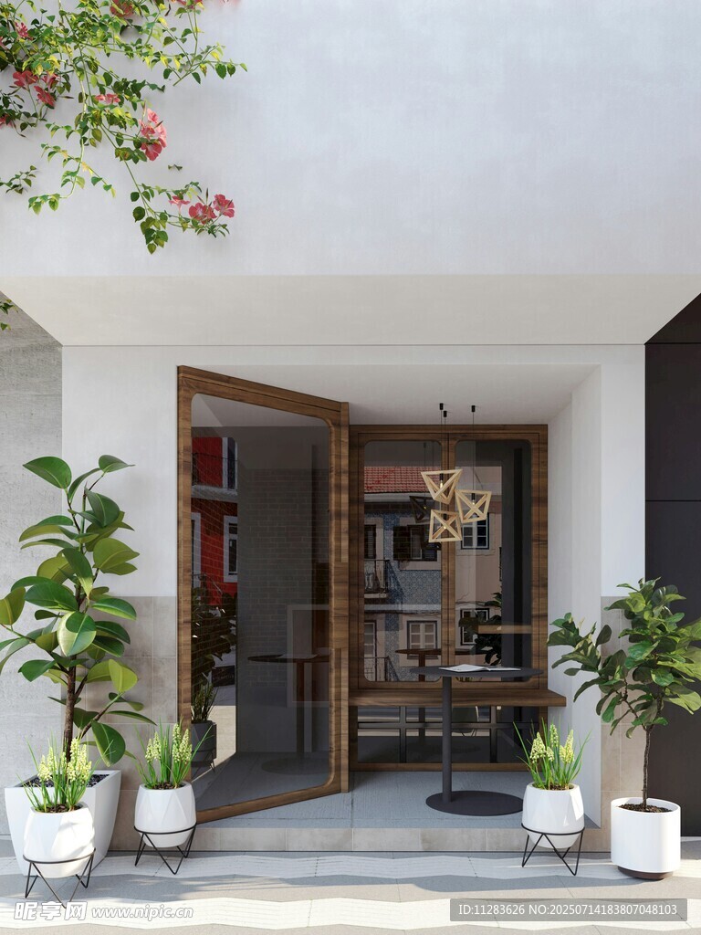 简约入户门绿植装饰场景