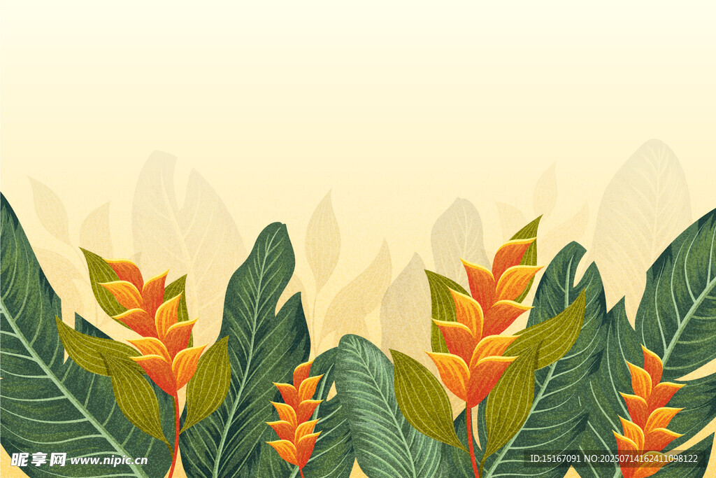 热带花卉植物插画